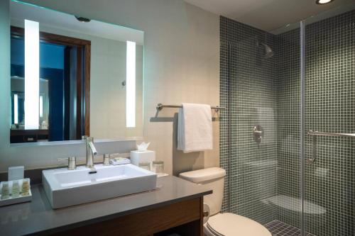 a bathroom with a sink and a shower and a toilet at Renaissance Minneapolis Bloomington Hotel in Bloomington