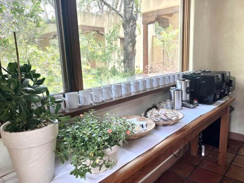 a counter with plants on it next to a window at Hacienda Del Sol in Taos