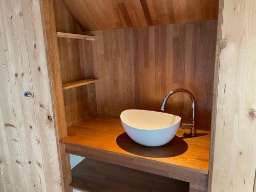 a bathroom with a bowl sink on a wooden counter at Appartement Elperhof 16A in Schoonloo