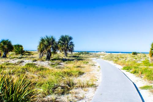 a path through a beach with palm trees and the ocean at Devon Shores in Clearwater Beach