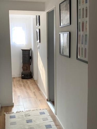 a room with a hallway with a door and a rug at Nina in Arandjelovac