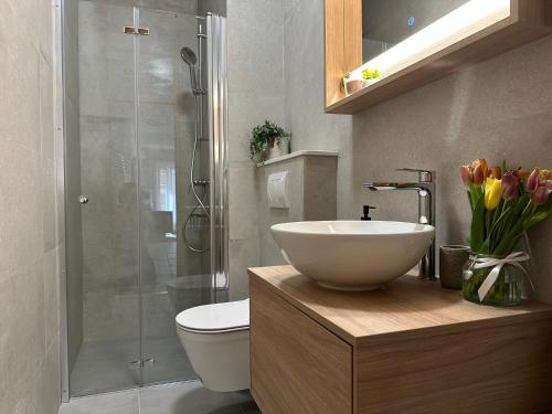 La salle de bains est pourvue d'un lavabo, de toilettes et d'une douche. dans l'établissement Apartmani Roko, à Biograd na Moru