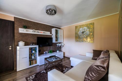 Kuchyň nebo kuchyňský kout v ubytování Fekete Orchidea Apartman