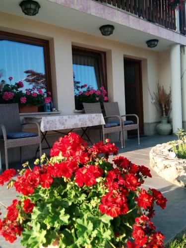 Dolenjska vila with Private Sauna