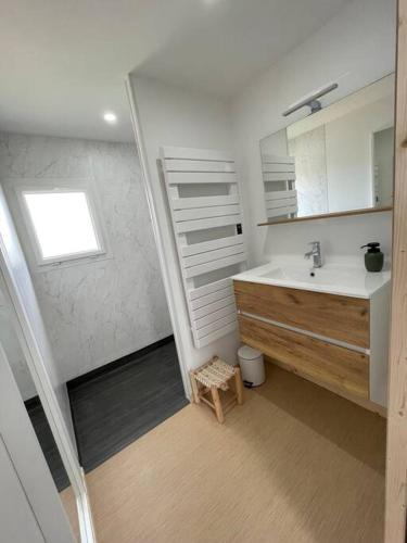 a bathroom with a sink and a mirror at Logement entier à la campagne proche du circuit et du zoo de la Flèche in Yvré-le-Pôlin