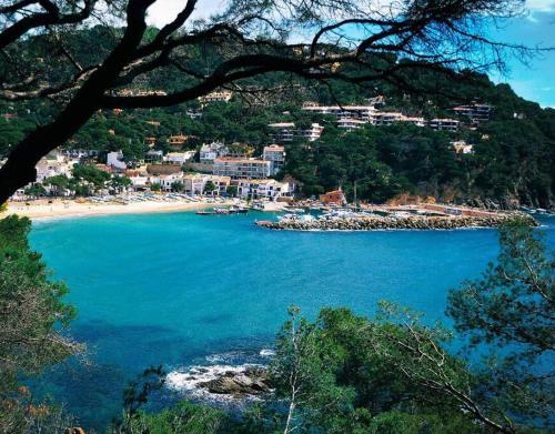 a view of a beach with blue water and buildings at Apartamentos Clipper Llafranc Costa Brava in Llafranc