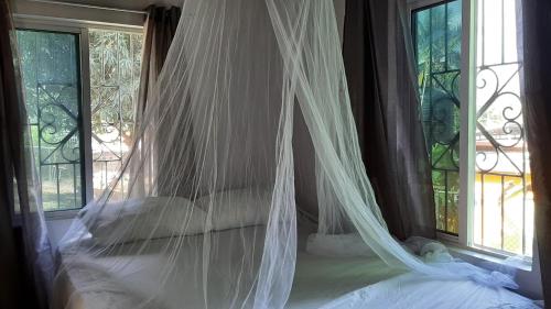 a bed with a mosquito net in a room with windows at Quiet Cottage in Residential Area in Montego Bay