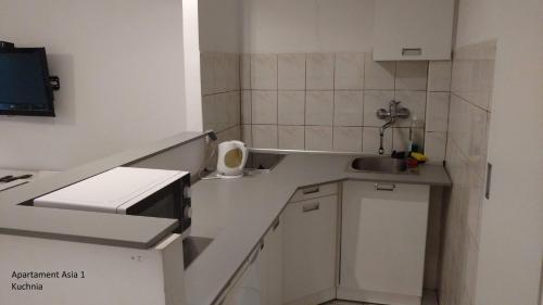 una pequeña cocina con fregadero y encimera en Apartamenty Asia Kraków, en Cracovia