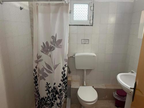a bathroom with a toilet and a shower curtain at Athanasiadis Studios in Nea Vrasna