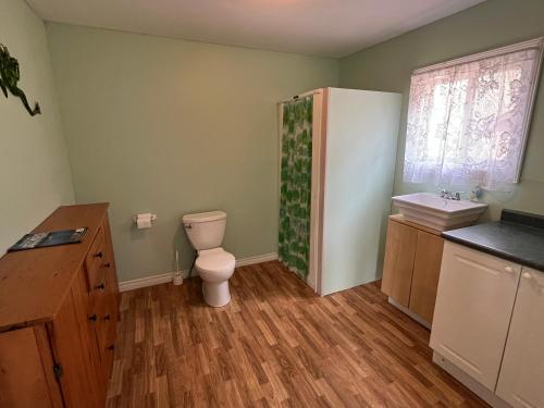 La salle de bains est pourvue de toilettes et d'un lavabo. dans l'établissement The “Lily” waterfront Muskoka cottage, à Utterson