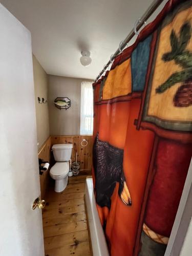 a bathroom with a toilet and a shower curtain at The “Bear” waterfront cabin in Muskoka in Utterson