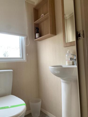 a bathroom with a toilet and a sink at 136 Beech at Flamingo Land in Malton