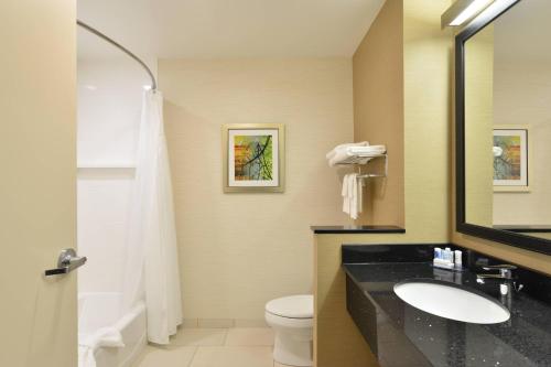 Fairfield Inn & Suites by Marriott Eau Claire/Chippewa Falls في أو كلير: حمام مع حوض ومرحاض