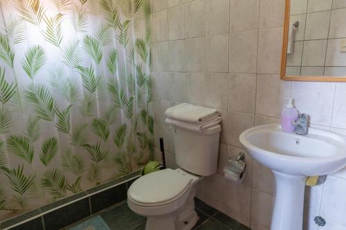 a bathroom with a toilet and a sink at Cabañas Lomas del Manzano in San José de Maipo