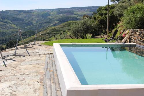 a swimming pool with a view of a vineyard at Country house Quinta da Salgueira in Alijó