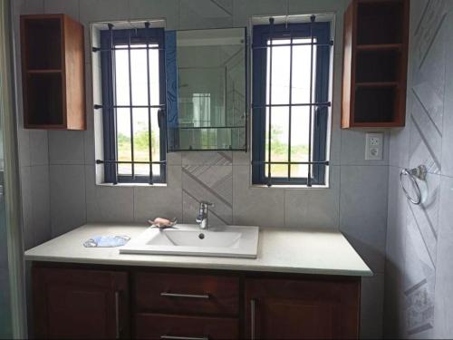 een badkamer met een wastafel en een spiegel bij Grand View Villa in Pont Colville