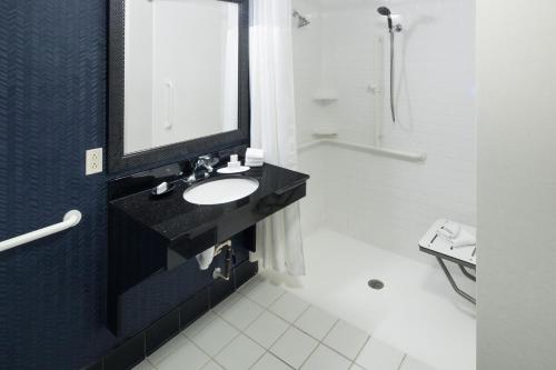 a bathroom with a sink and a mirror and a shower at Fairfield Inn Suites by Marriott Orlando At SeaWorld in Orlando
