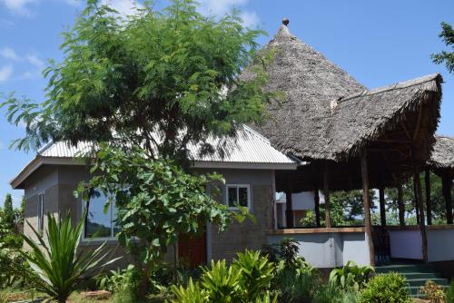 a house with a thatched roof and a tree at Kili View Lodge in Moshi