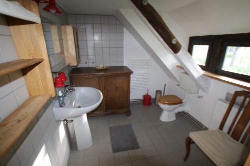 ein Bad mit einem Waschbecken und einem WC in der Unterkunft Gerberhaus Cottbus in Cottbus