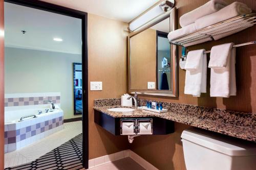 a bathroom with a sink and a tub and a mirror at Delta Hotels by Marriott Fargo in Fargo