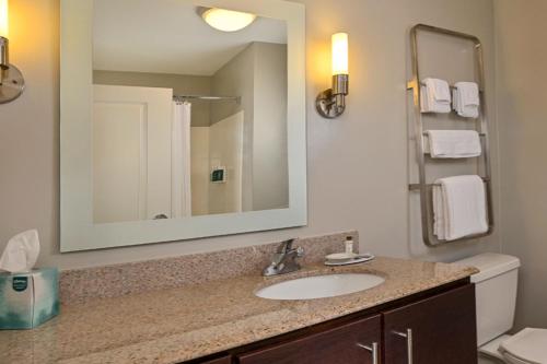 a bathroom with a sink and a mirror at TownePlace Suites by Marriott Frederick in Frederick