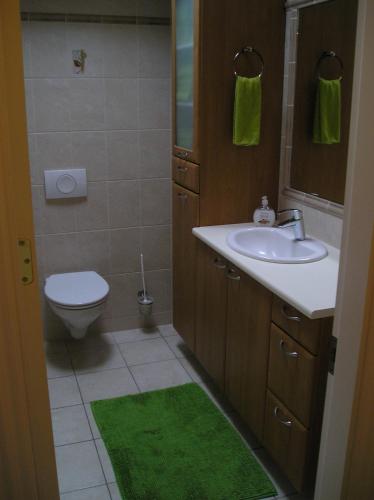 a bathroom with a sink and a toilet and a green rug at Three Sisters Apartments in Reykjavík