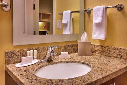 a bathroom with a sink and a mirror at TownePlace Suites by Marriott Dickinson in Dickinson