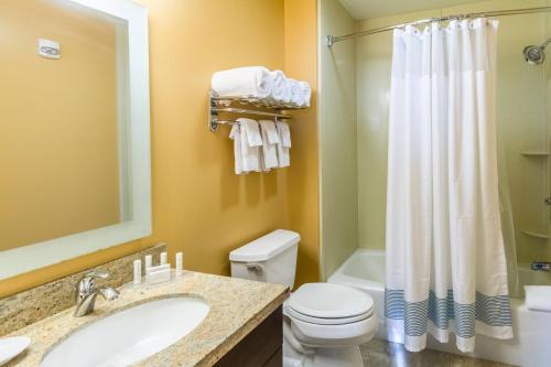 a bathroom with a sink and a toilet and a shower at TownePlace Suites Dayton North in Dayton