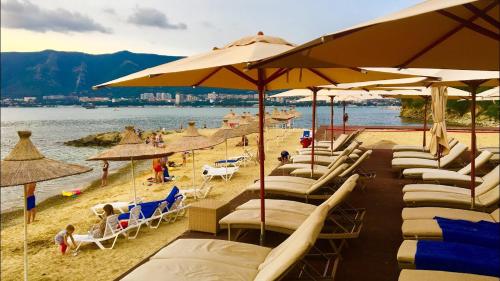 a bunch of chairs and umbrellas on a beach at Luxury Apartment on Krymskaya 22 in Gelendzhik