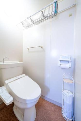 a white bathroom with a toilet and a sink at コーポセキヤ / Corp Sekiya in Itoigawa