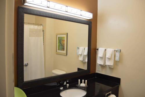 a bathroom with a sink and a large mirror at Fairfield Inn & Suites Houston Channelview in Channelview