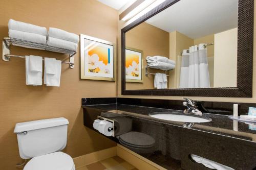 uma casa de banho com um lavatório, um WC e um espelho. em AmericInn by Wyndham St Cloud MN Shopping Area em Saint Cloud