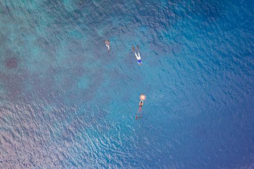 two people swimming in the water in the ocean at Seascapes Bira in Bira
