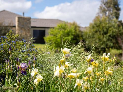 a field of flowers in front of a house at Snowy Mountains Retreat in Moonbah