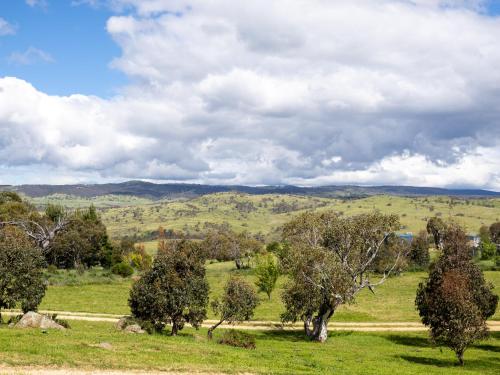 a field with trees in the middle of a field at Snowy Mountains Retreat in Moonbah