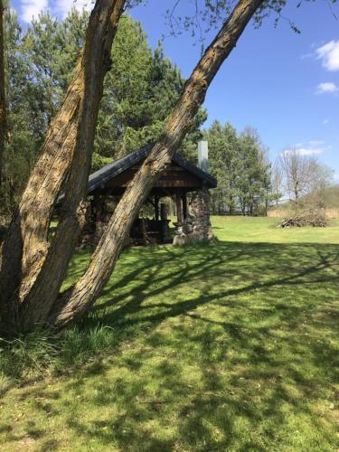 una cabaña de madera en un campo con un árbol en Agroturystyka Giże - domek letni en Ełk