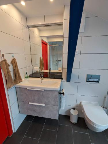 a bathroom with a sink and a toilet at Anton's bunte Welt (100 m², Parkplatz, Garten und viel mehr) in Albersdorf