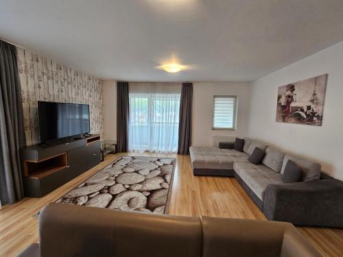 AMG Apartament في براشوف: غرفة معيشة مع أريكة وتلفزيون بشاشة مسطحة