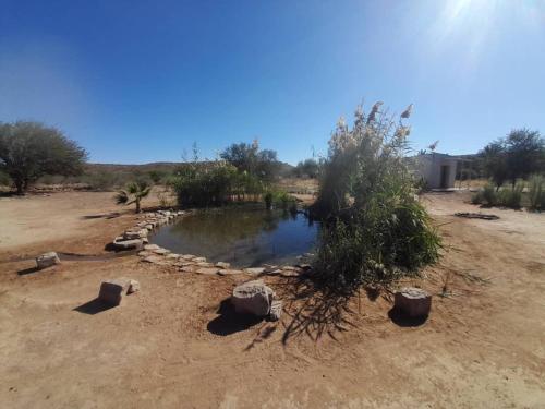 a small pond in the middle of a field at Old Bridge Camping in Maltahöhe