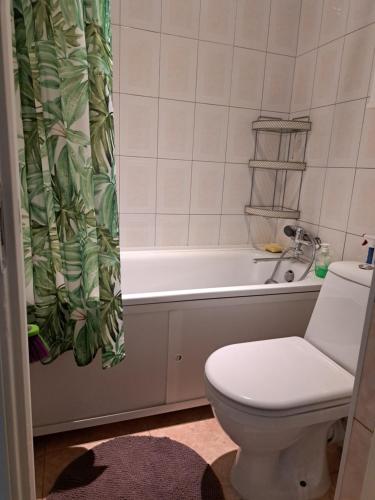 a bathroom with a toilet and a bath tub at Comfort in Daugavpils