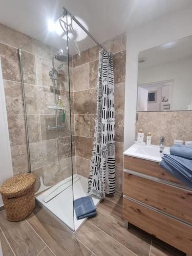 une salle de bain avec douche et lavabo dans l'établissement Le Joffre - Cosy Studio Cannes Center 3 min walk Palais des Festivals, à Cannes
