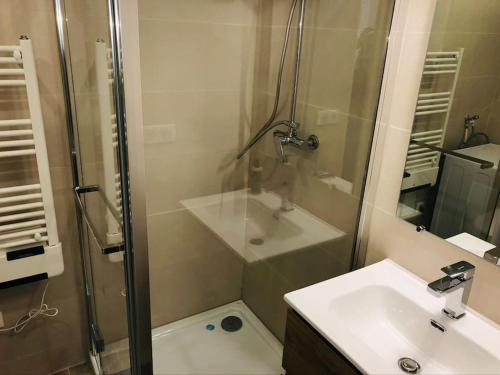 a bathroom with a shower and a sink at Le Cottage du Château - INSEAD-Grand Parquet in Fontainebleau