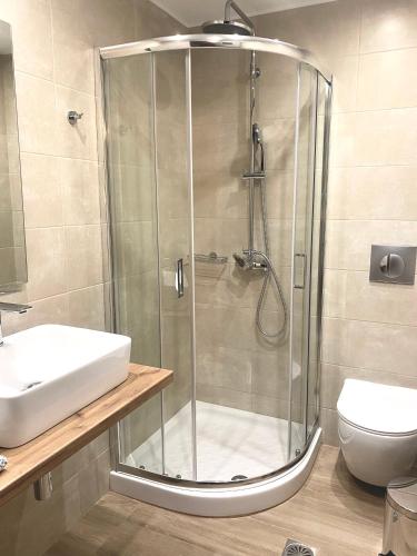 a bathroom with a shower and a sink and a toilet at Venetia in Tsoútsouros