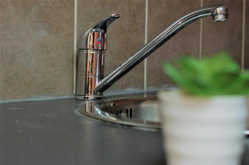 - un évier de cuisine avec un robinet et une plante dans l'établissement Grenier du Lac 100 m du lac, à Annecy