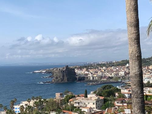 a view of a city and the ocean with a palm tree at Casa Nausica in Acitrezza