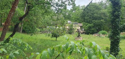 a field with a house in the background with trees at Villa Eden Vert in Fayence