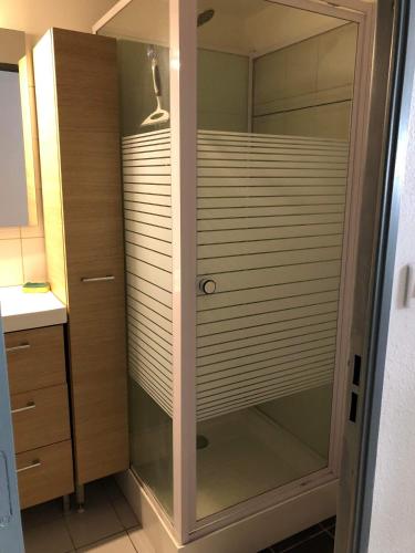 d'un placard avec une porte en verre dans la salle de bains. dans l'établissement Appartement en résidence, au Barcarès