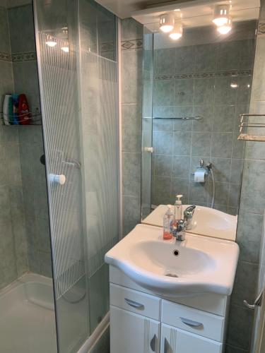 uma casa de banho com um lavatório e um chuveiro em Bogyó Kert em Nagymaros
