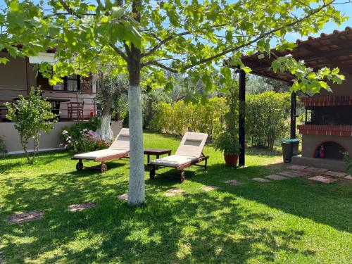 zwei Stühle und ein Tisch und ein Baum im Hof in der Unterkunft Les Olives Woodhouse in Drosia