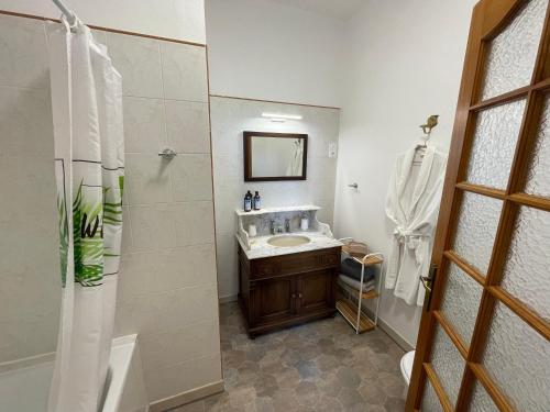 ein Bad mit einem Waschbecken und einer Dusche mit einem Spiegel in der Unterkunft La Salmonière in Le Vivier-sur-Mer